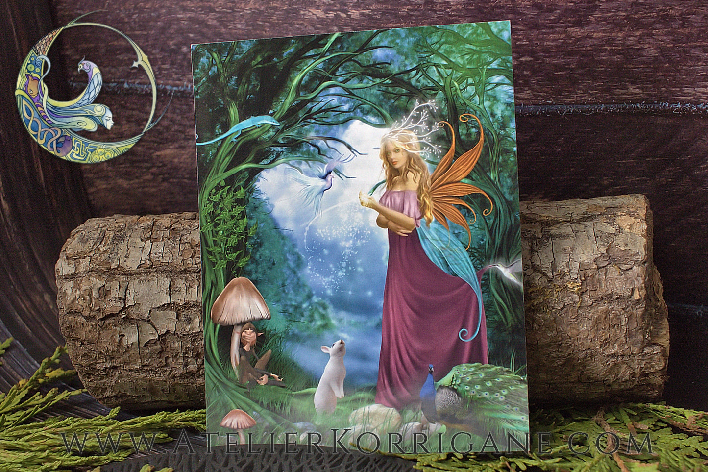 Fantasy Dreams - Set de Cartes Postales et Aimants Uniques Korrigane