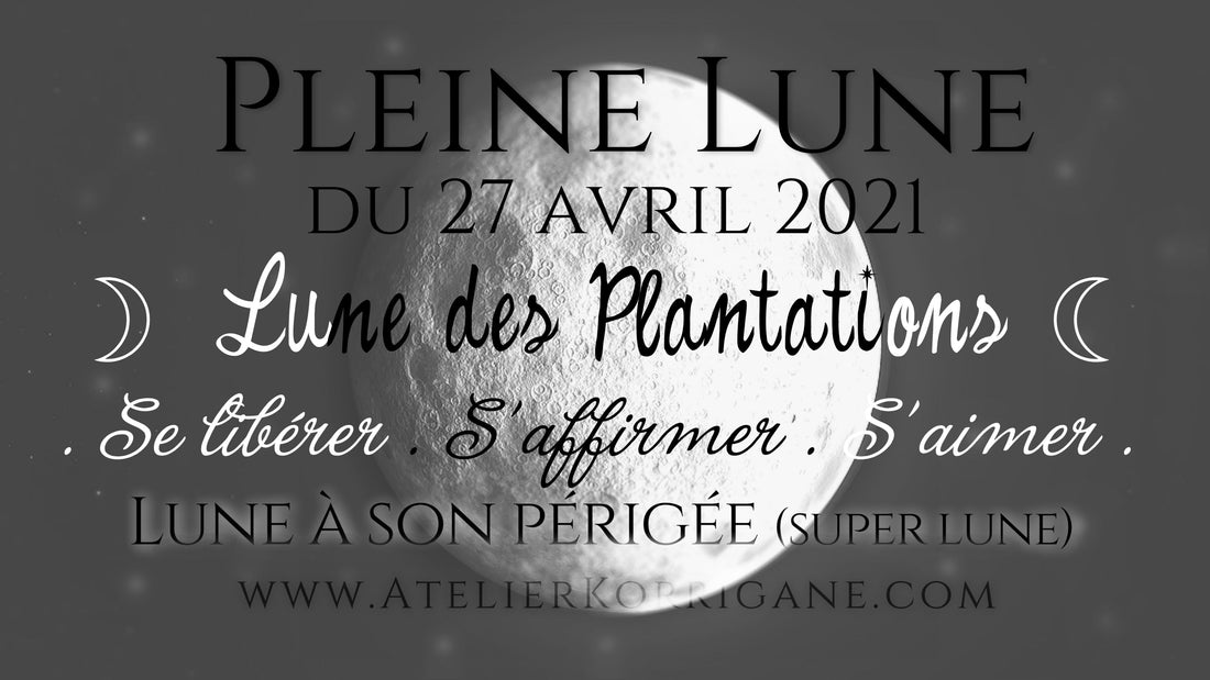 ◯ 27 avril : la Pleine Lune des Plantations ◯ Korrigane