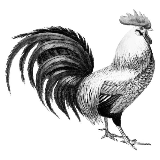 La Médecine de l'Animal Totem du Coq : Guérison et Équilibre Spirituel