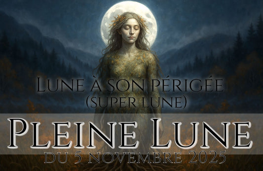 ◯ Pleine Lune de Neige du 5 novembre 2025 ◯