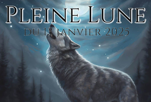 ◯ Pleine Lune du 13 Janvier 2025 : la Lune du Loup ◯