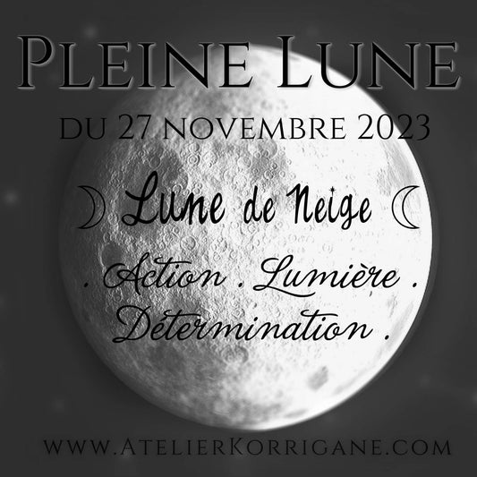 ◯ La Pleine Lune de Neige du 27 novembre 2023 ◯