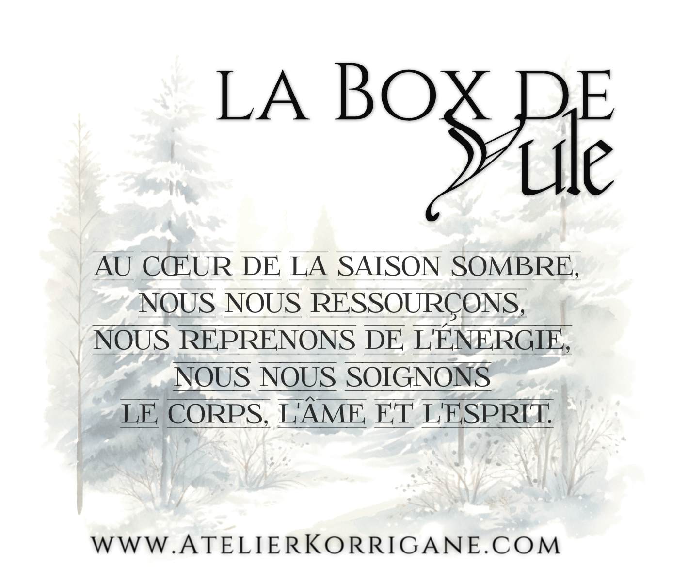 Box du Solstice d'Hiver et de Yule