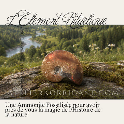 Box Païenne Mensuelle - Août