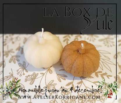 Box du Solstice d'Hiver et de Yule