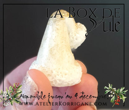 Box du Solstice d'Hiver et de Yule