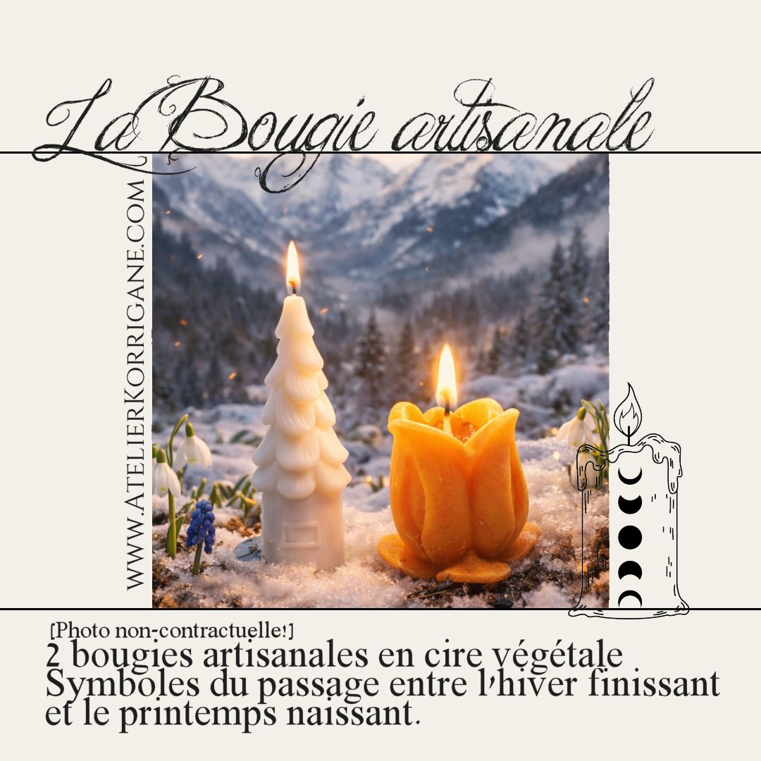 Box Païenne Mensuelle - Février