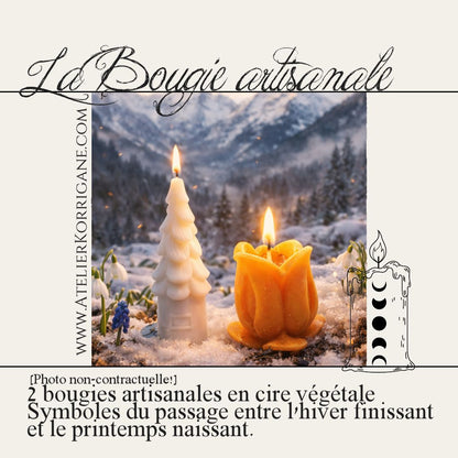 Box Païenne Mensuelle - Février