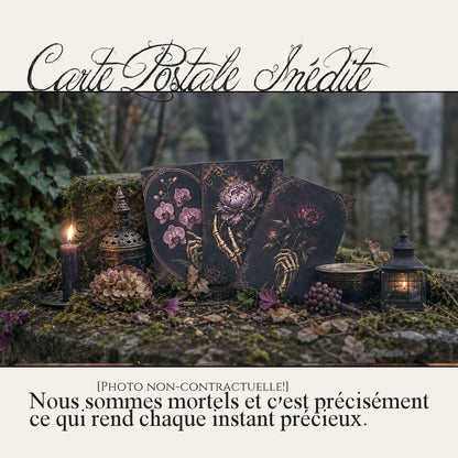 Box Païenne Mensuelle - Octobre