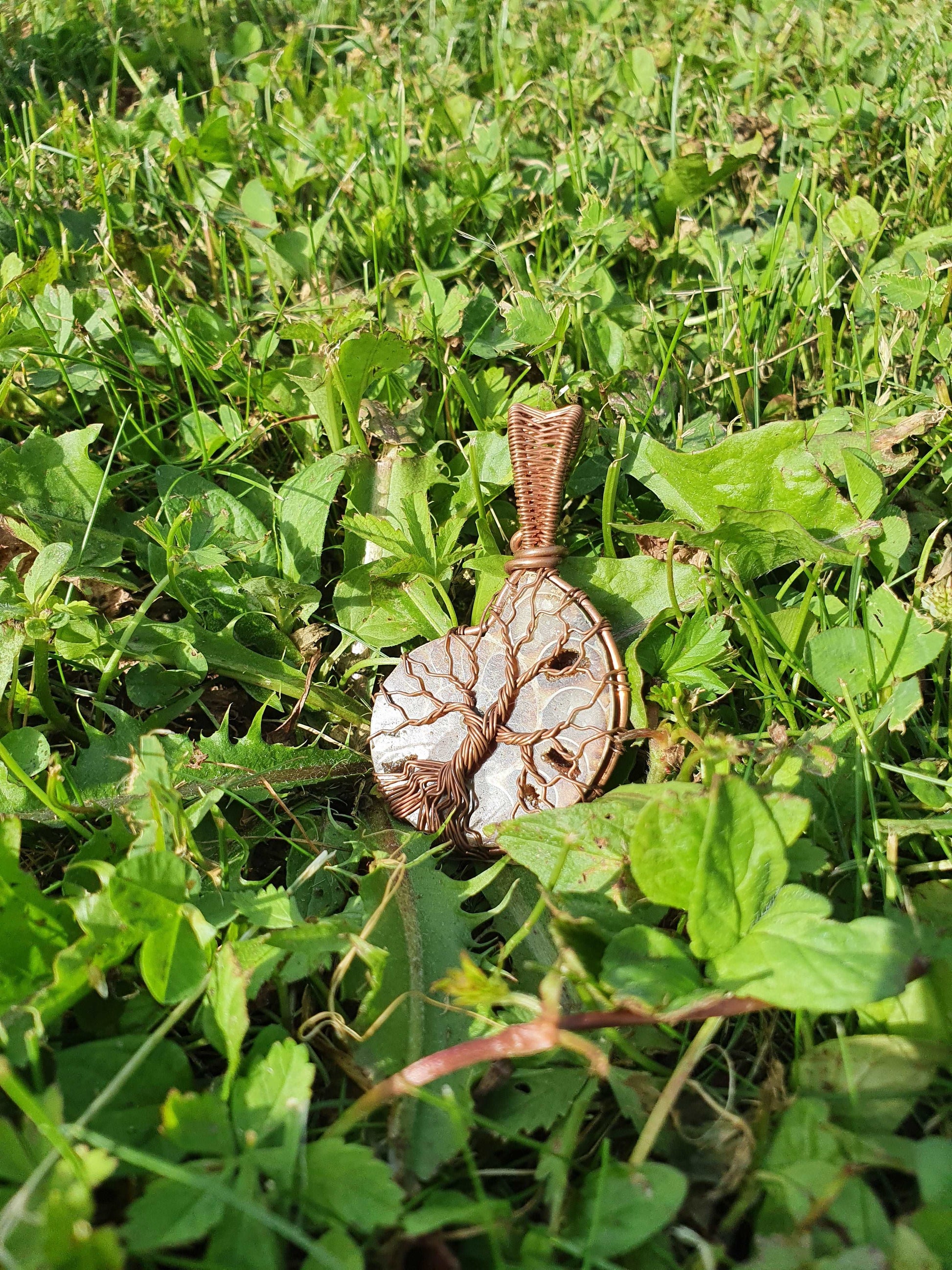 Collier Arbre de Vie en Ammonite Korrigane