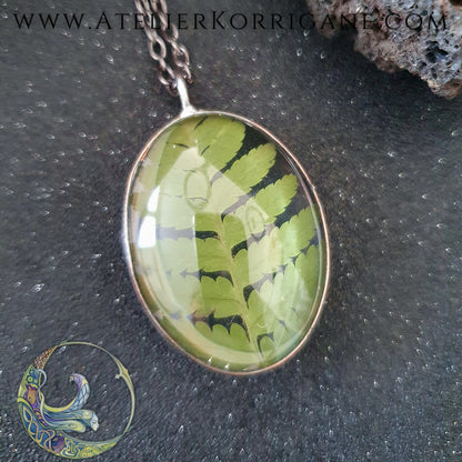 Collier Plantes avec une véritable Fougère - Les Botaniques Korrigane