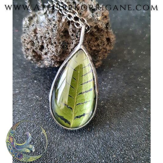 Collier Plantes avec une véritable Fougère - Les Botaniques Korrigane