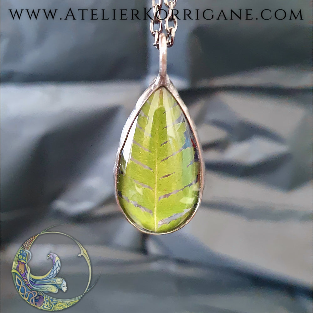 Collier Plantes avec une véritable Fougère - Les Botaniques Korrigane