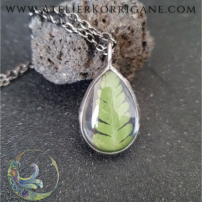 Pendentif Plantes avec une véritable Fougère - Les Botaniques Korrigane